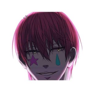 Hunter x Hunter Sticker Hisoka Hair Down