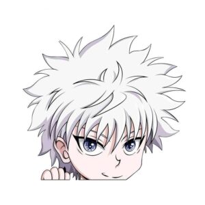Hunter x Hunter Sticker Killua Face